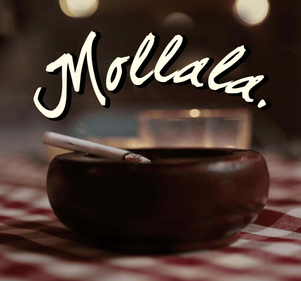 Fondazione Veronesi (2024)